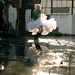 Leeann Monroe Photo 4