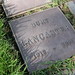 Stephen Lancaster Photo 29