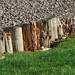 Ruth Weir Photo 22