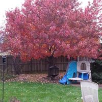 Donna Herman Photo 26