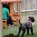 Rebekah Gray Photo 34