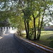 Ling Zhao Photo 6