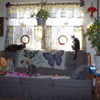 Julia Jennings Photo 31