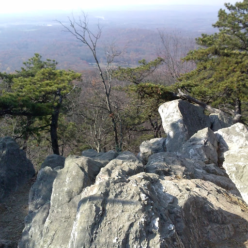 Barbara Riggs Photo 4
