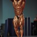 Eduardo Correa Photo 39
