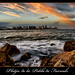 Guillermo Duarte Photo 9
