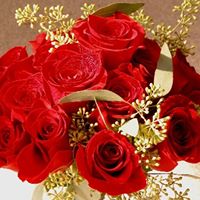 Anna Varghese Photo 8