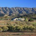 Frederick Paddock Photo 10