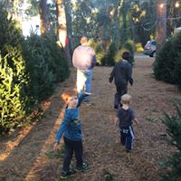 Ann Glynn Photo 31