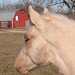 Julie Back Photo 24