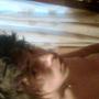 David Velandia Photo 7