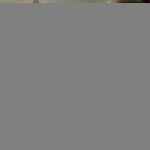 Cherie Boyd Photo 16