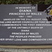 Diana Bradford Photo 14