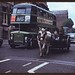 John Cushman Photo 46