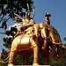 Li Chai Photo 13