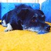 Nanette Peters Photo 7