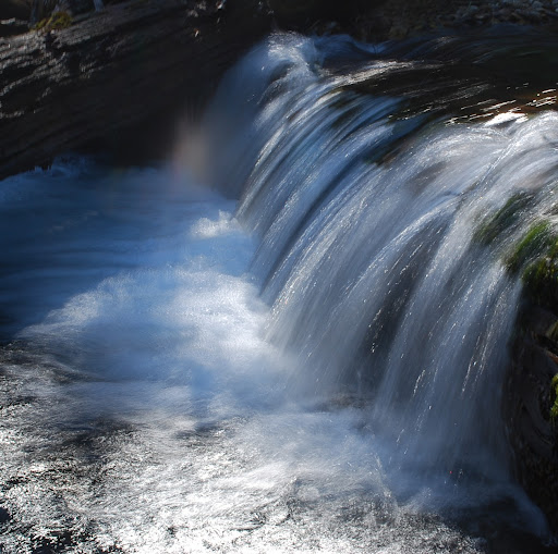 Charles Ferraro Photo 12
