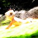 Robert Shenk Photo 13