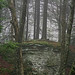 Ronald Birch Photo 30