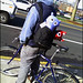 Rex Beard Photo 11