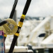 Gerald Lerner Photo 12