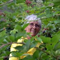 Margaret Pedersen Photo 13