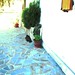 Rosemary Sharp Photo 7