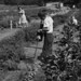 Franklin Bean Photo 9