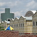 Michael Charters Photo 20