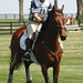 Kristen Bachman Photo 10