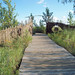 Stephanie Bunn Photo 13