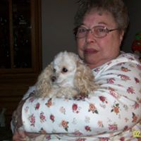 Dorothy Mcdonald Photo 22