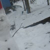 Randy Adkins Photo 16