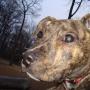 Matthew Holmes Photo 16