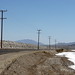 Joshua Pole Photo 11