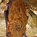 Floyd Osborn Photo 12
