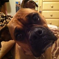 Connie Sharpe Photo 9