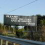 Susan Long Photo 35