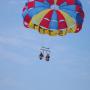 Sherry Milam Photo 4