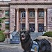 Jeff Handley Photo 15