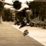 Troy Holliday Photo 18