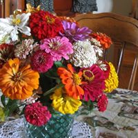 Terri Stone Photo 42