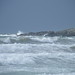Micheal Ard Photo 2
