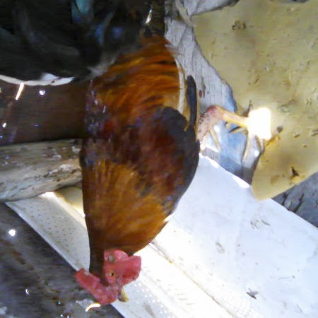 Veronica Jimenes Photo 1