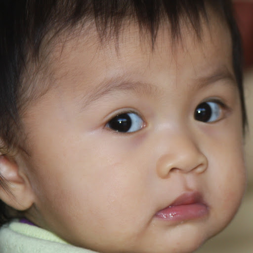 Anna Dinh Photo 7