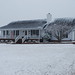 Sheila Thomason Photo 12