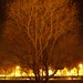 Barbara Phares Photo 17