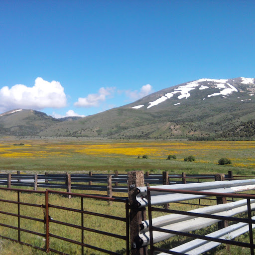 Debra Caldwell Photo 18