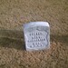 Robert Mcpherson Photo 10