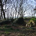 Sue Hill Photo 29